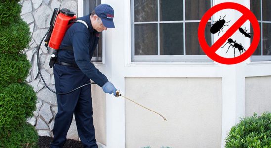 Odunpazarı Böcek İlaçlama böcek ilaçlama ve haşere kontrolü — ilaclama-tr.com
